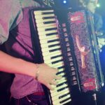 accordion, harmonica, acordeon, accordion, acordeon, acordeon, acordeon, acordeon, acordeon